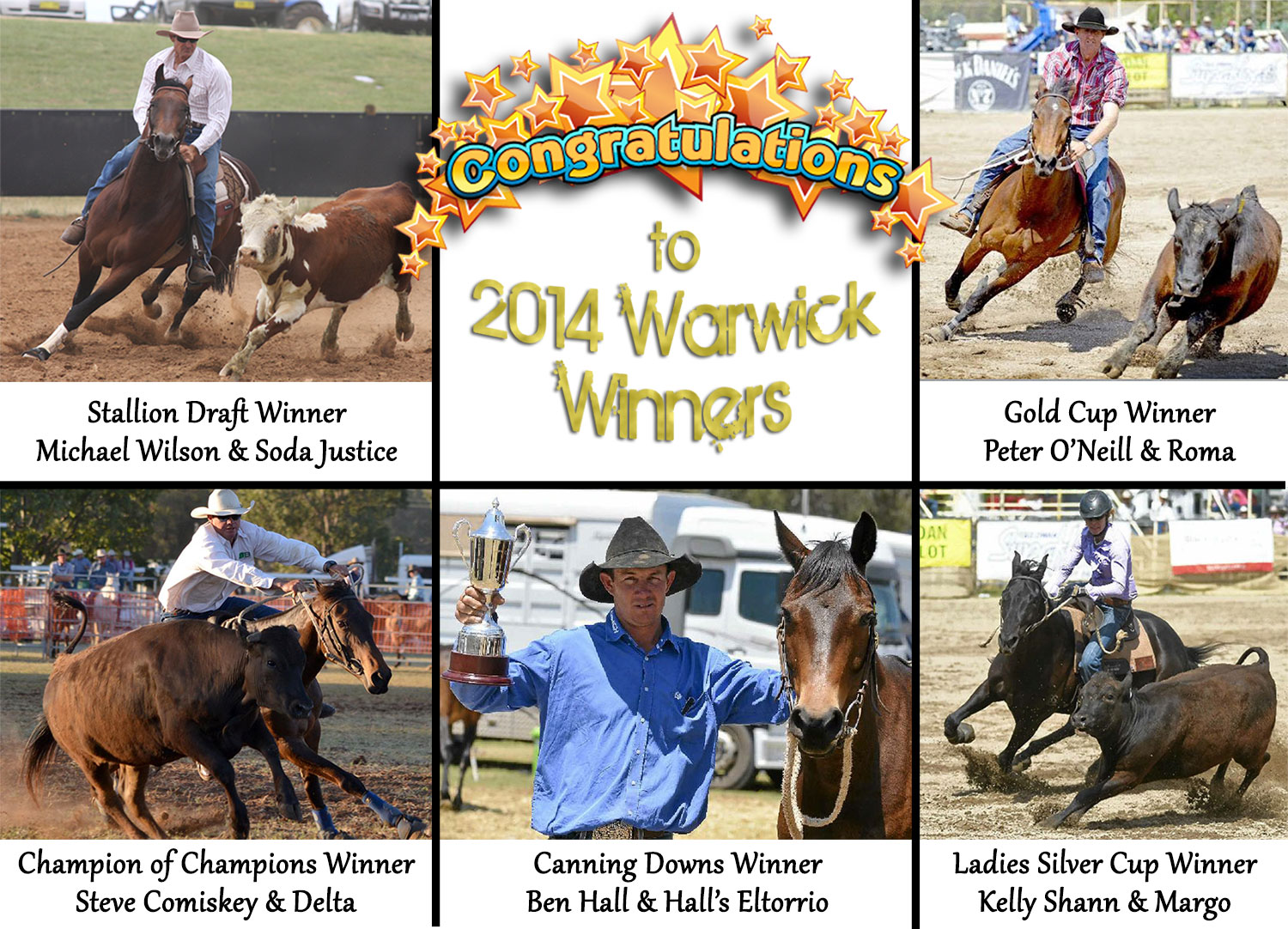 2014_warwick_winners_lineup