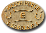 Welsh Horse & Saddlery P/L