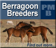 Berragoon Breeders