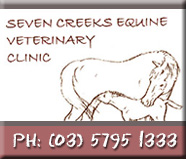 Seven Creeks Equine Veterinary Clinic