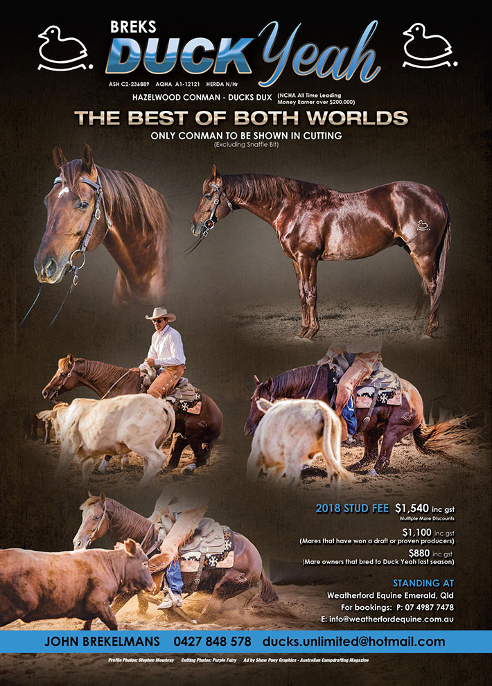 2018 ad by Australian Campdrafting Magazine. Artwork by Show Pony Graphics.