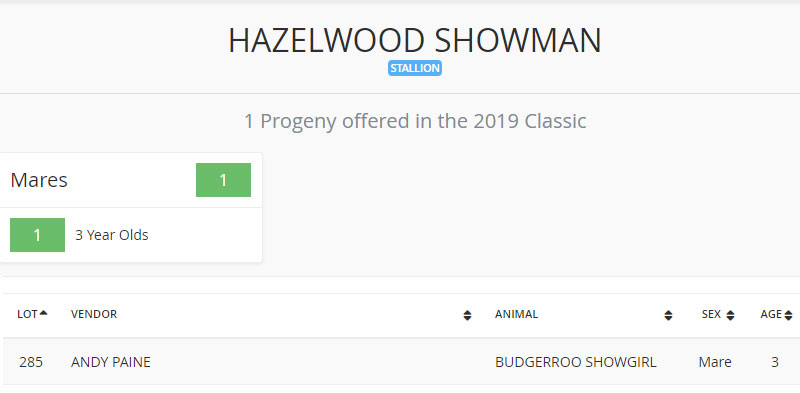 2019 Landmark Classic Sale progeny by Hazelwood Showman