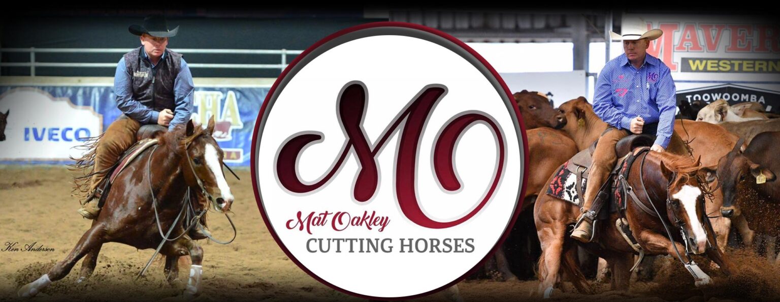 Select Sires Mat Oakley Cutting Horses Select Sires