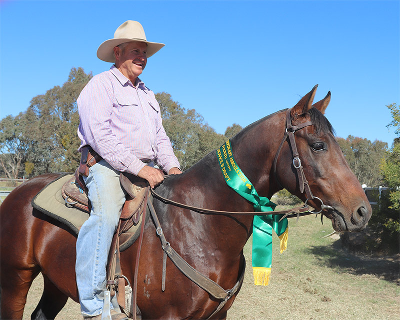 Toonga Grit hitting his straps - Select Sires